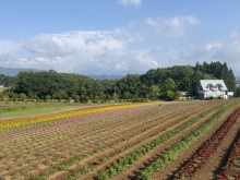 7/30（木）牧歌の里の天気《晴れ時々曇り》雲のサンシェードが日差しを遮る曇りの日♪