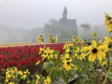 9/13(土) 牧歌の里の天気「雨」15日敬老の日は６５歳以上の方は入園料が無料！