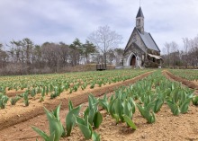 4/6(月)　休園中の牧歌の里　　　グリーンシーズンまであと12日