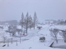 1/11(日)牧歌の里の天気《雪》新たに２０cm積雪。一日降る予報！ふかふかパウダースノー♪
