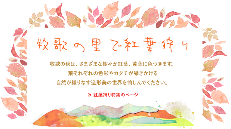 牧歌の里で紅葉狩り - 牧歌の秋はさまざまな樹々が紅葉?葉に色づきます。葉それぞれの色彩やカタチが囁きかける自然が織りなす造形美の世界を愉しんでください。紅葉狩り特集のページへ