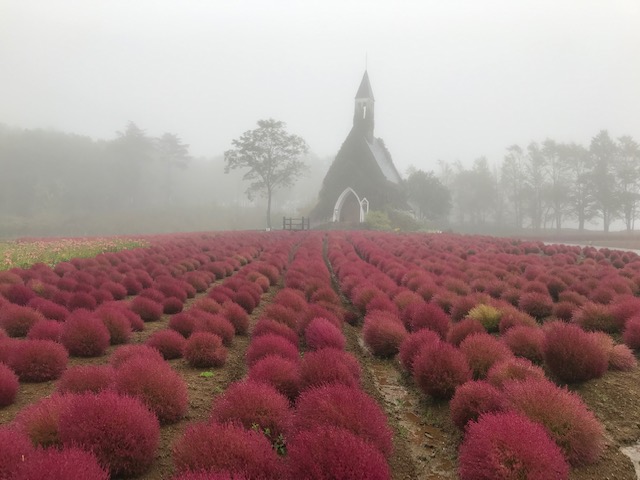 牧歌の里