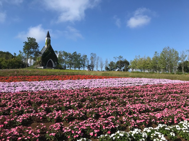 お花がきれいなひるがの高原 牧歌の里