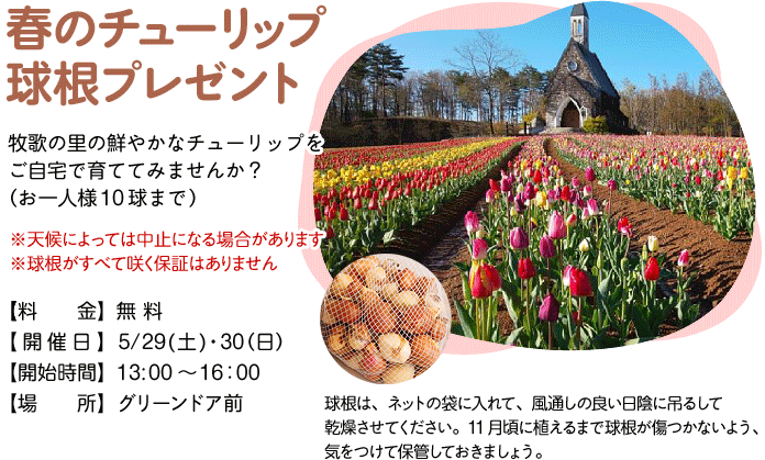 今朝の牧歌の里の天気 晴れ The高原 牧歌の里 今朝の牧歌の里の天気 晴れ The高原 牧歌の里