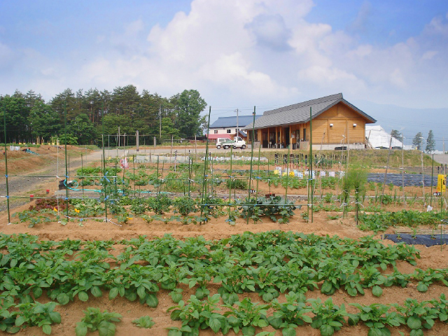 様々な野菜が育まれる農園